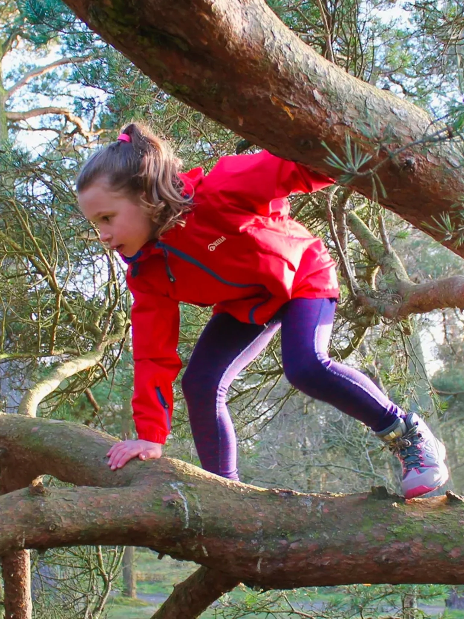 Keela Outdoors - Keela Childrens / Kids Boulder 3 in 1 coat - Waterproof, Windproof & Breathable - Image 3