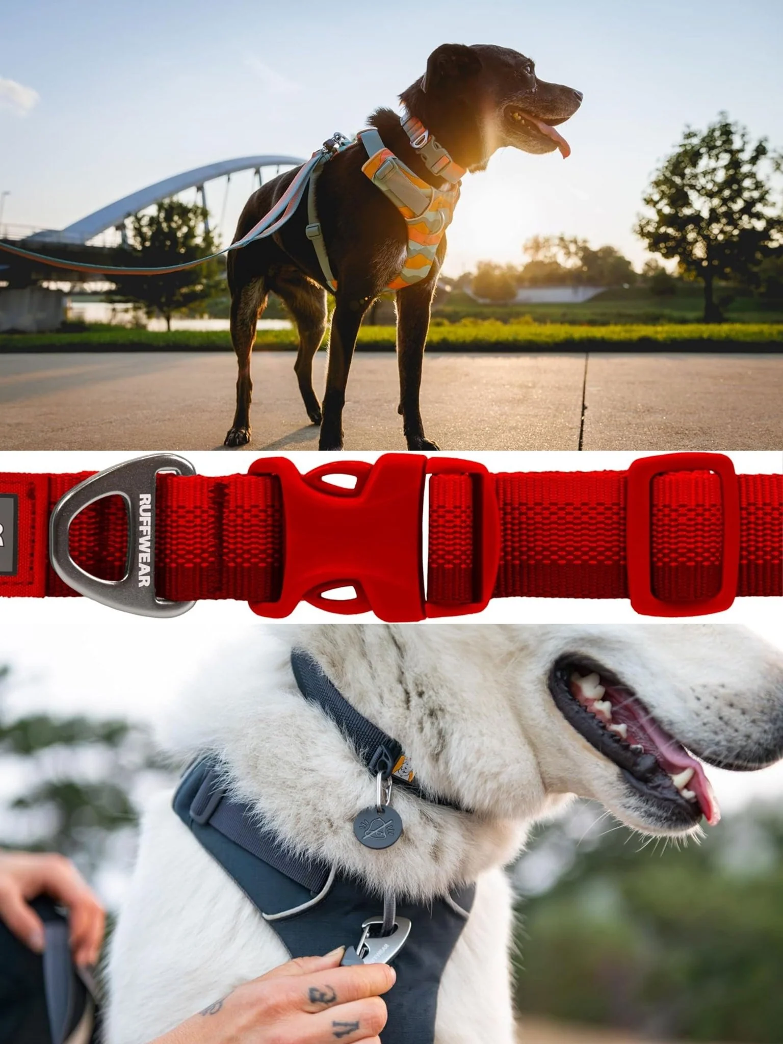 Ruffwear - Front Range Dog Collar, with Aluminium V-Ring, Adjustable Pet Dog Collar, Comfortable Soft Fabric, Collar with Dog Lead Attachment Ring - Image 8