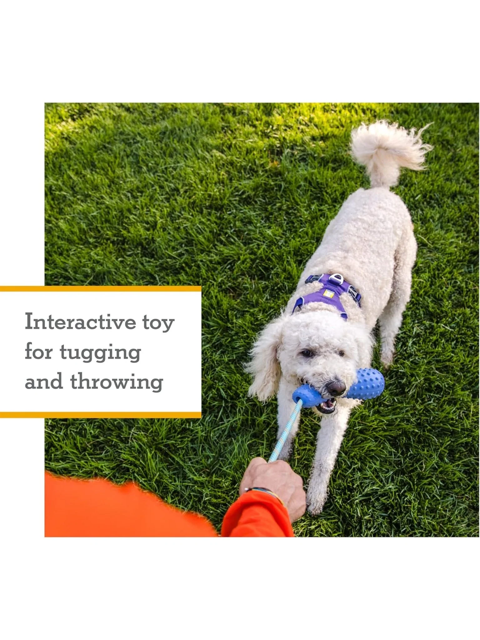 Ruffwear - Gourdo™ Rubber Throw Toy - Interactive Rubber Toy for dogs / Dog Toy - Image 6