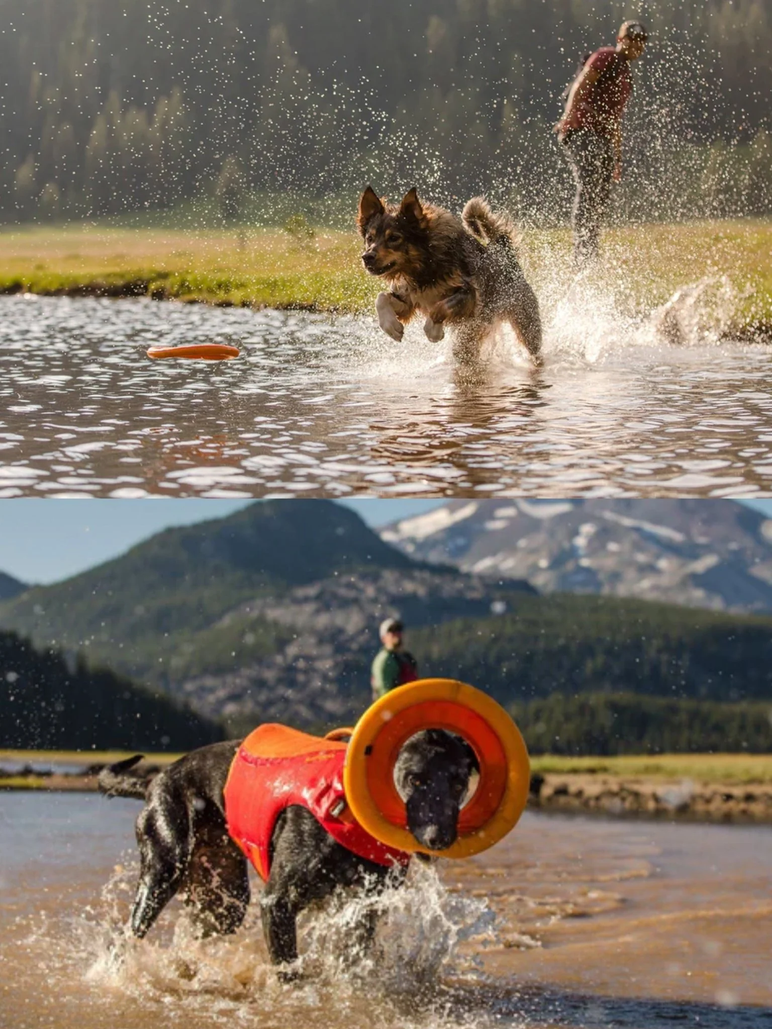 Ruffwear - Hydro Plane™ Floating Throw Dog Toy - High Floating Soft Foam Disc dog toys - Image 6