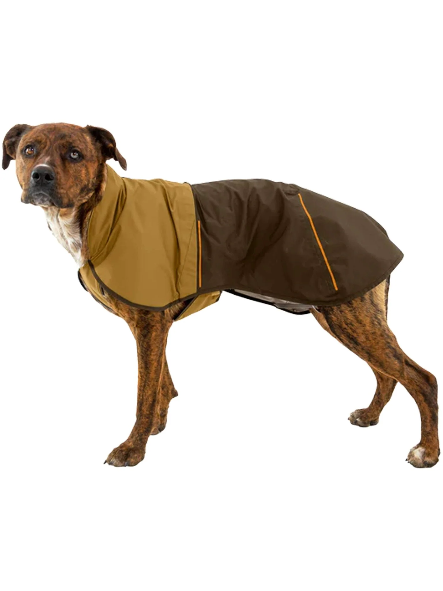 Ruffwear - Sun Shower™ Dog Raincoat - Waterproof Dog Coat, to help keep you dog dry in the wet. - Image 10