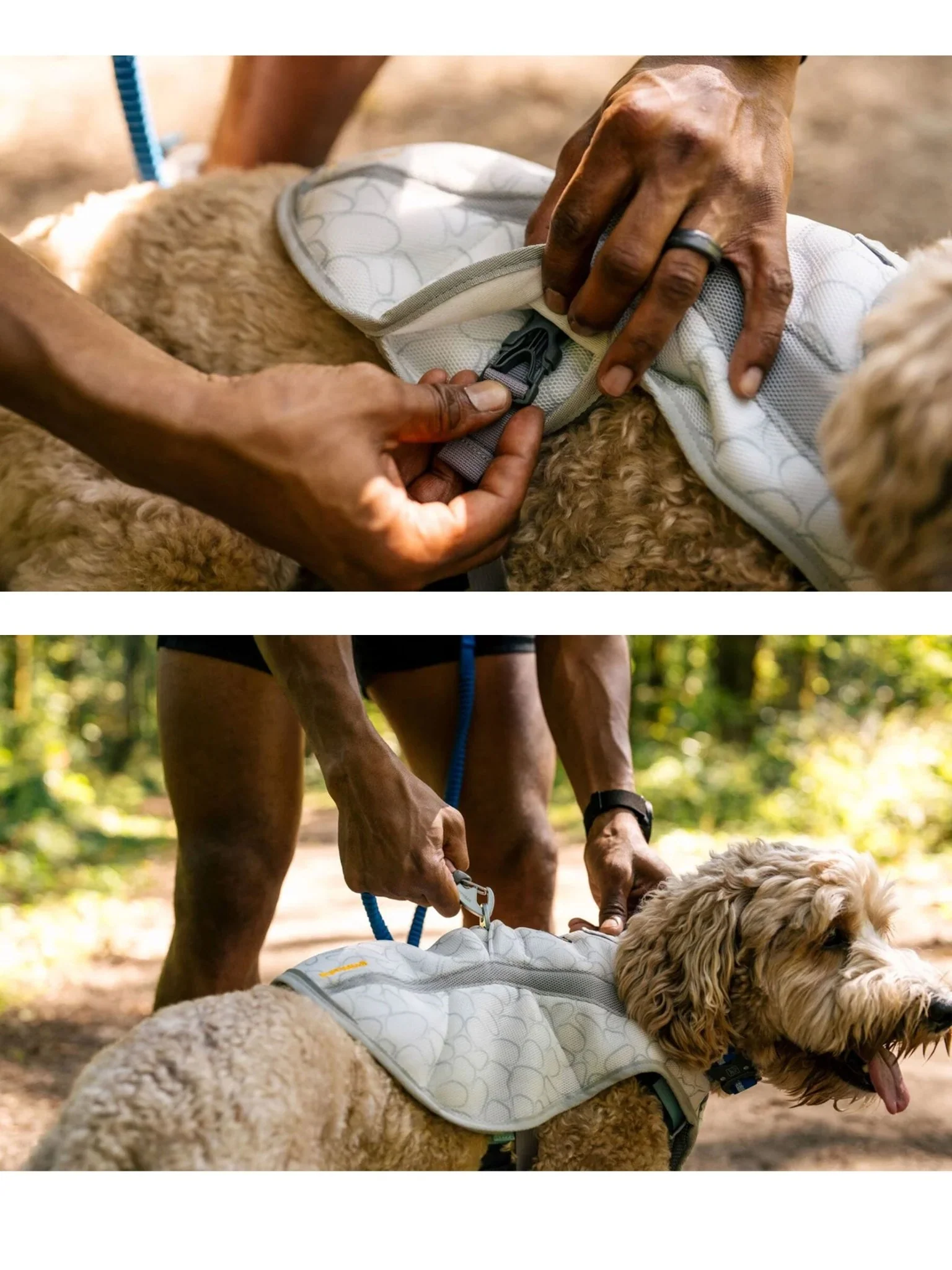 Ruffwear - Swamp Cooler™ Premium Dog Cooling Vest - Buckle Version - Image 4
